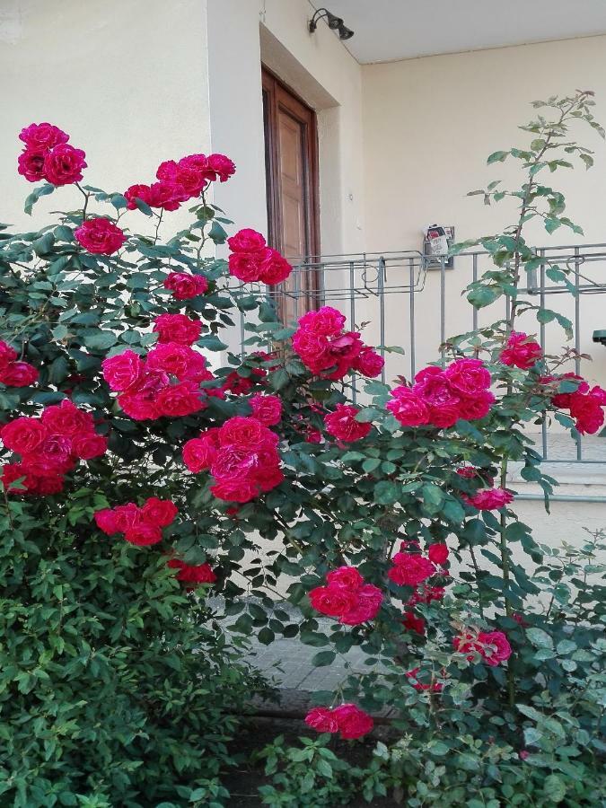 Casa Sciotto Daire Linguaglossa Dış mekan fotoğraf